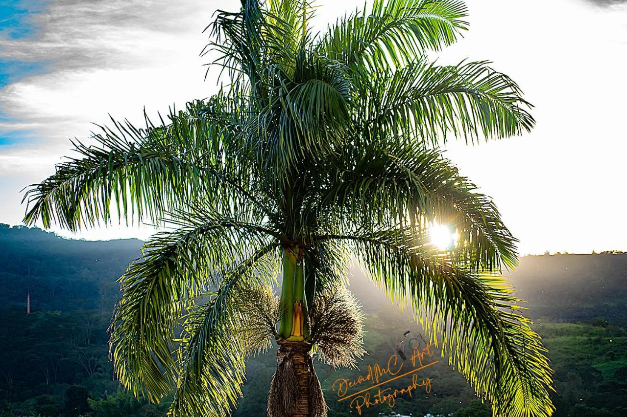 Hotel Palmeras De Luz Moniquirá Exteriér fotografie
